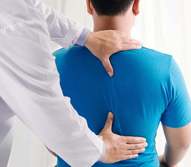 Spine Package Spine Package